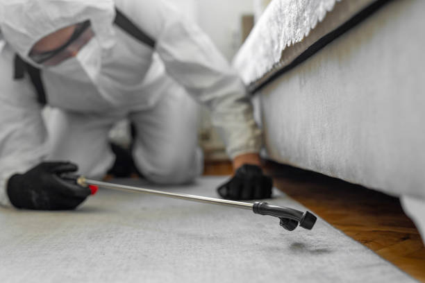 Professional Bed Bug Control technician working in Montevideo, MN