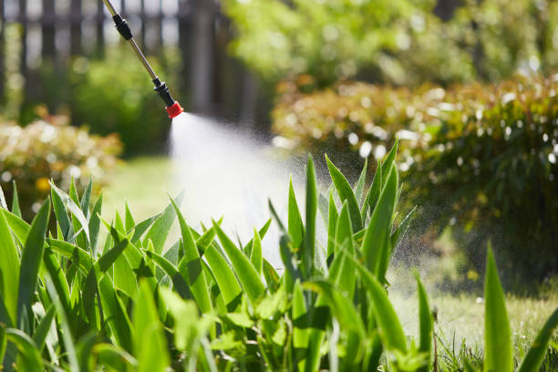 24/7 Emergency Bed Bug Control experts in Montevideo, MN