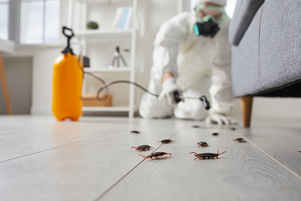 Trusted Fumigation Services service in Montevideo, MN - Nex Pest Control