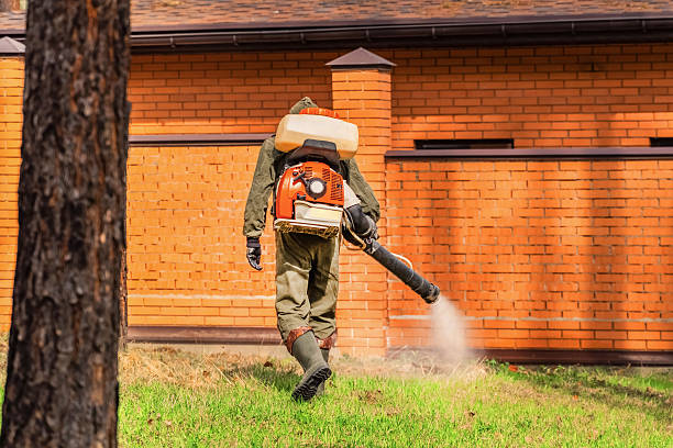 Trusted Rodent Control service in Montevideo, MN - Nex Pest Control